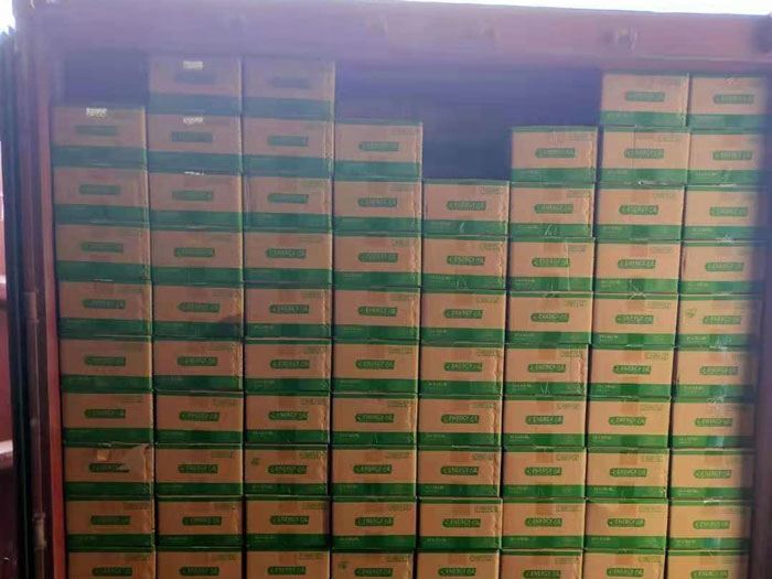 O-MIKK Ships Premium Brake Fluid Worldwide – Latest Container Dispatched